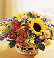 The FTD� Autumn Medley� Basket
